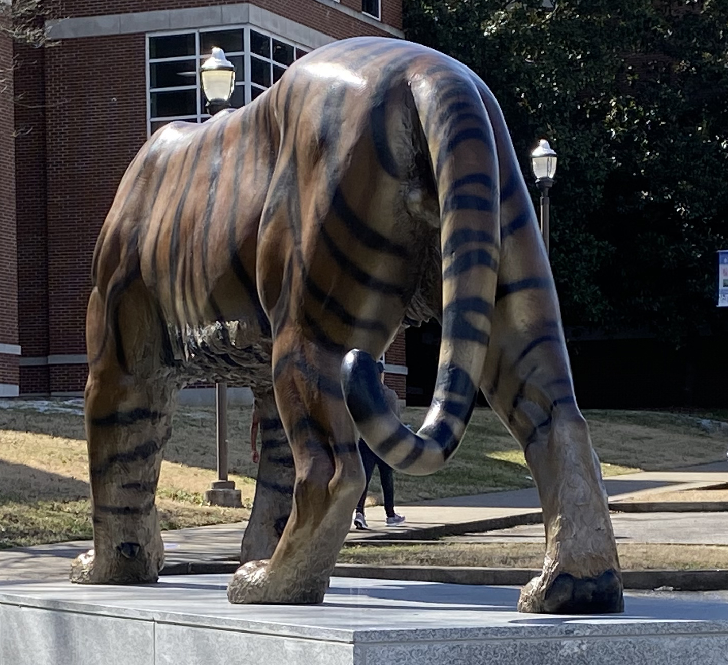 Tennessee State Tiger