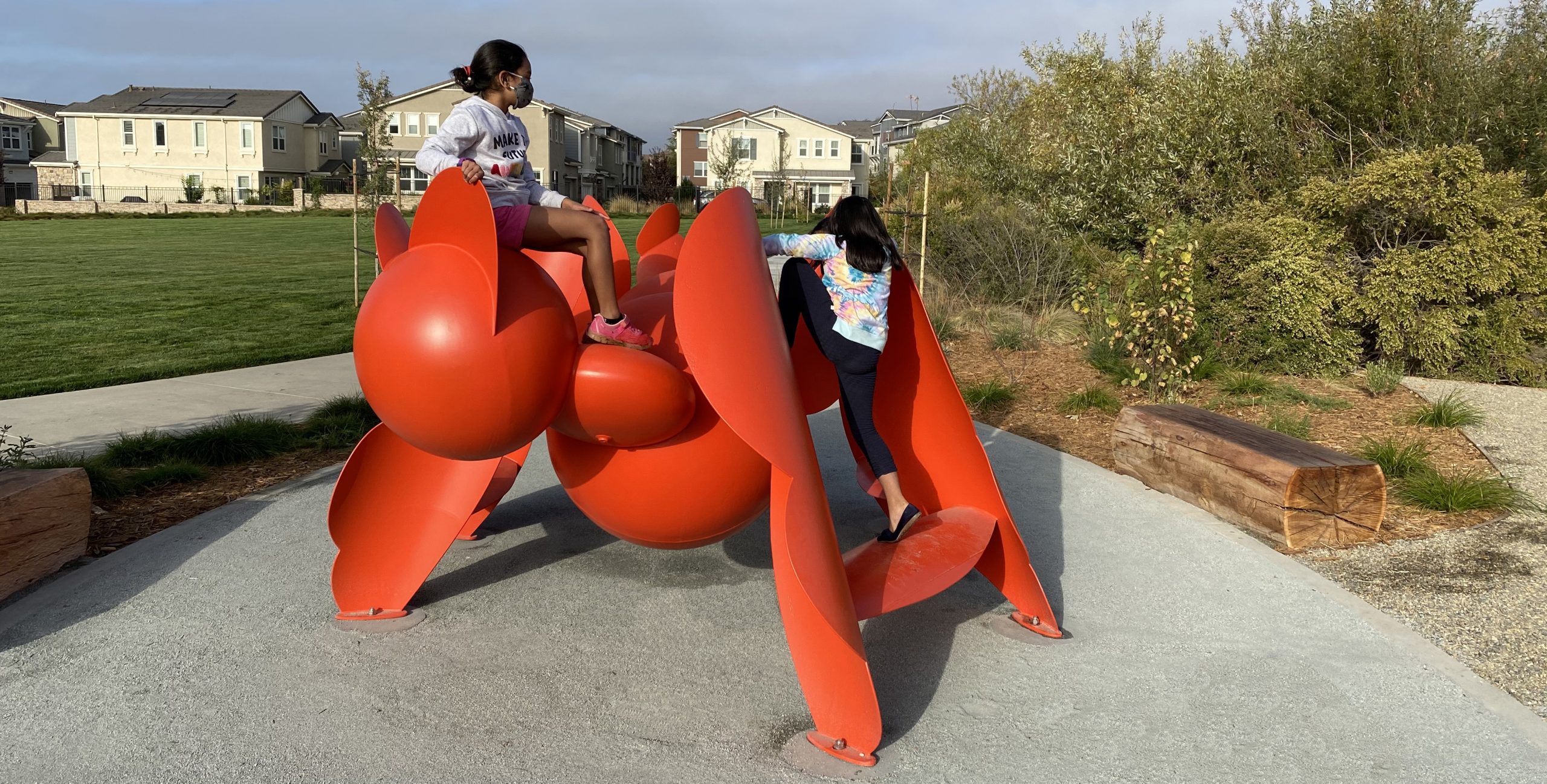 Arachnicat, an eco-friendly biomorphic sculpture & play structure
