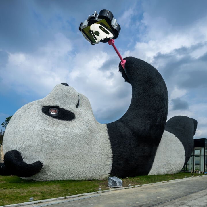Selfie Panda