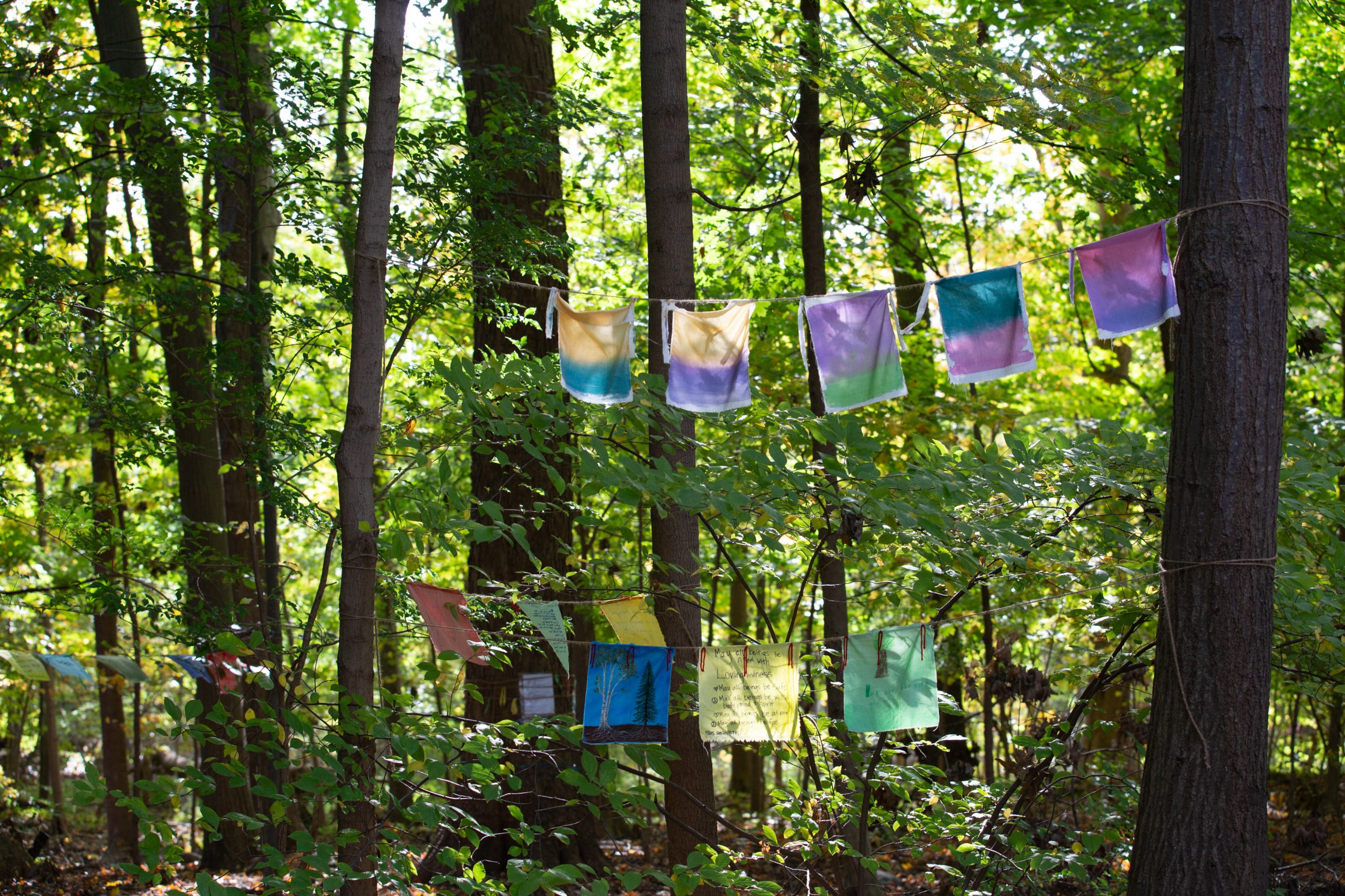 Prayer Flags in Enchanted Forest