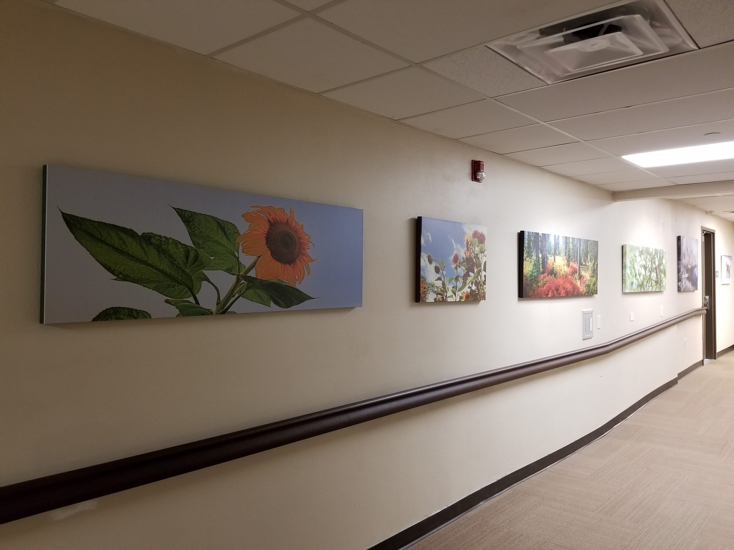 Memorial Hospital Remodel Interior Art