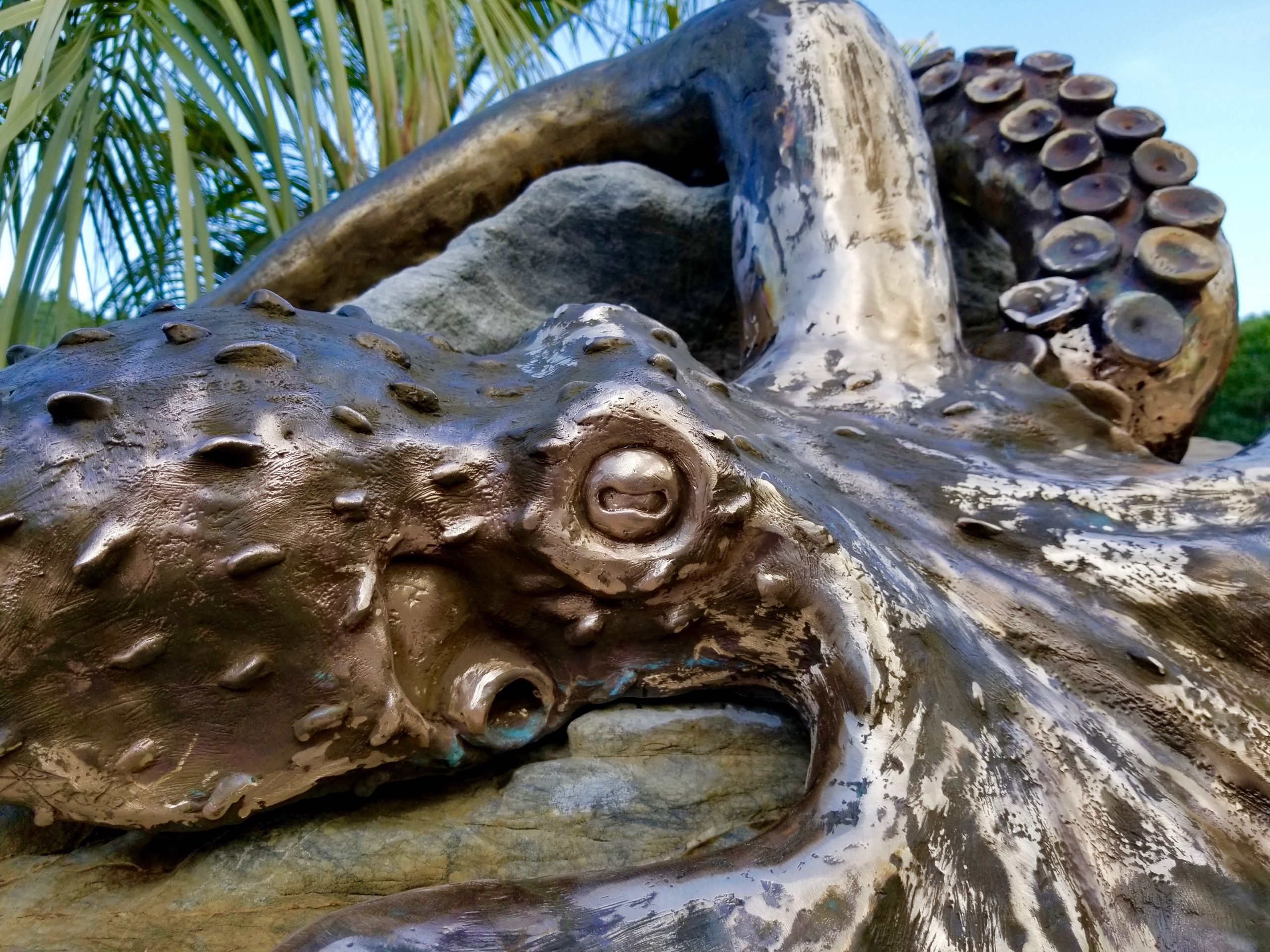 Bronze Octopus Water Feature