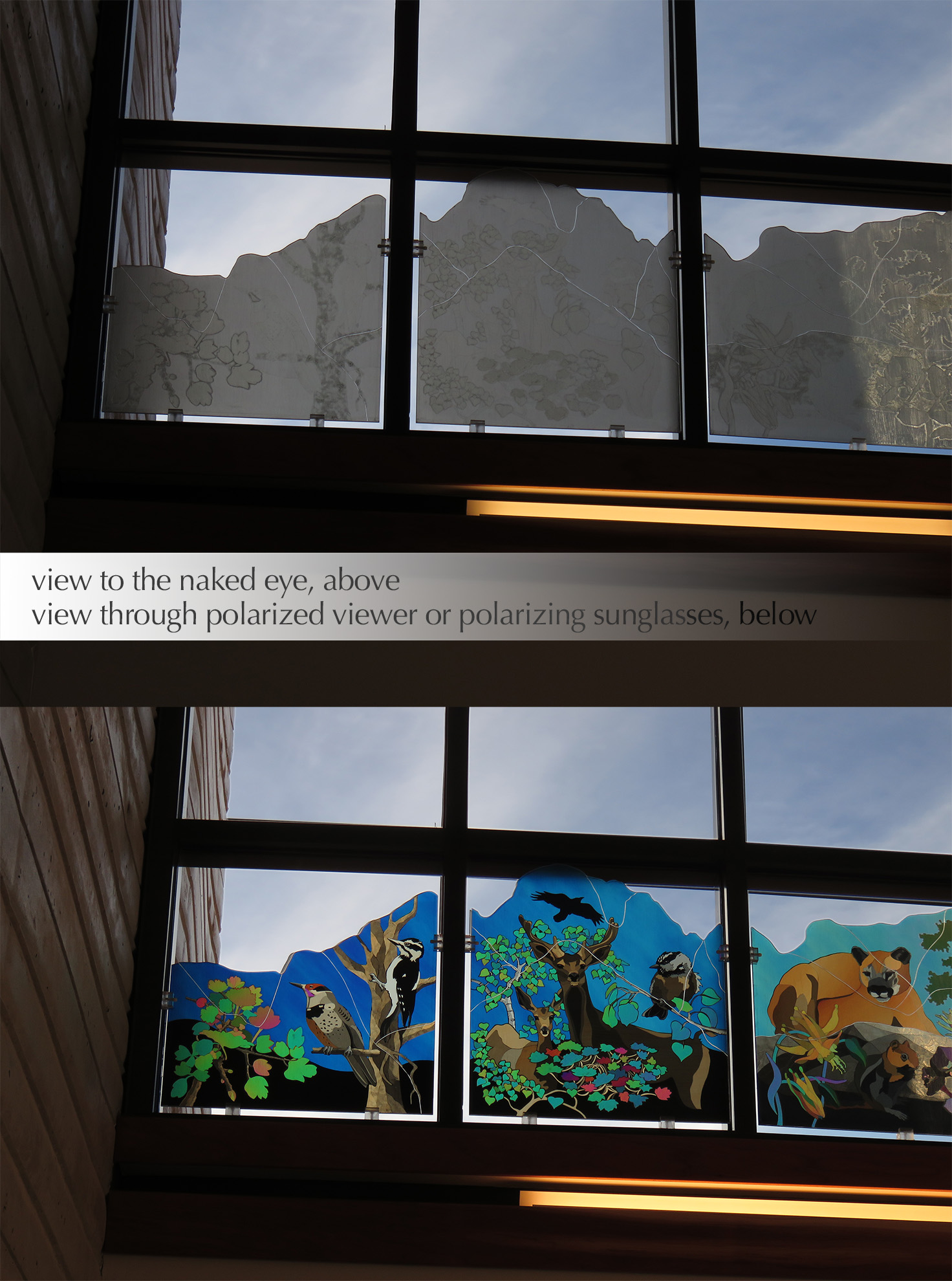 Spring Mountains Visitor Gateway Interactive Polarized Light Window Installation