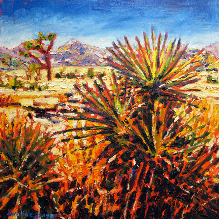 Desert Series