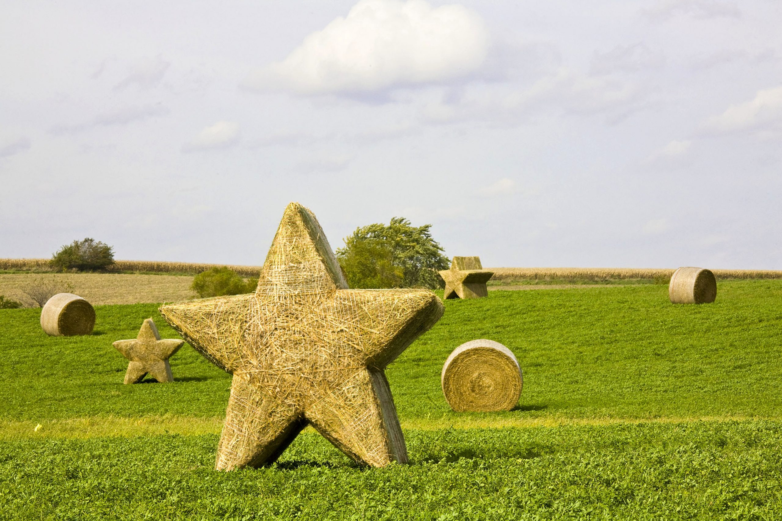 The Star Bales