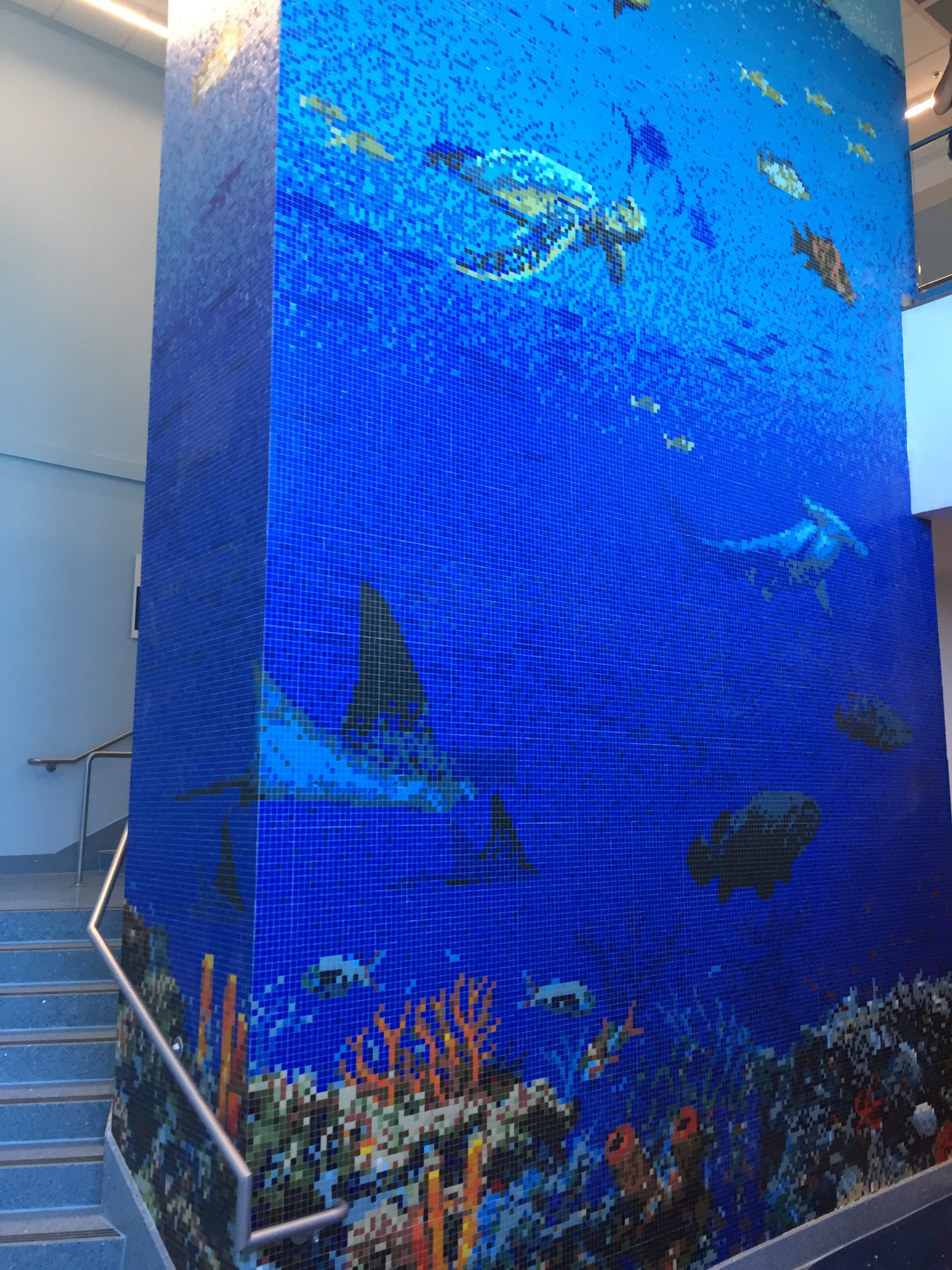 Texas State Aquarium “Caribbean Journey”