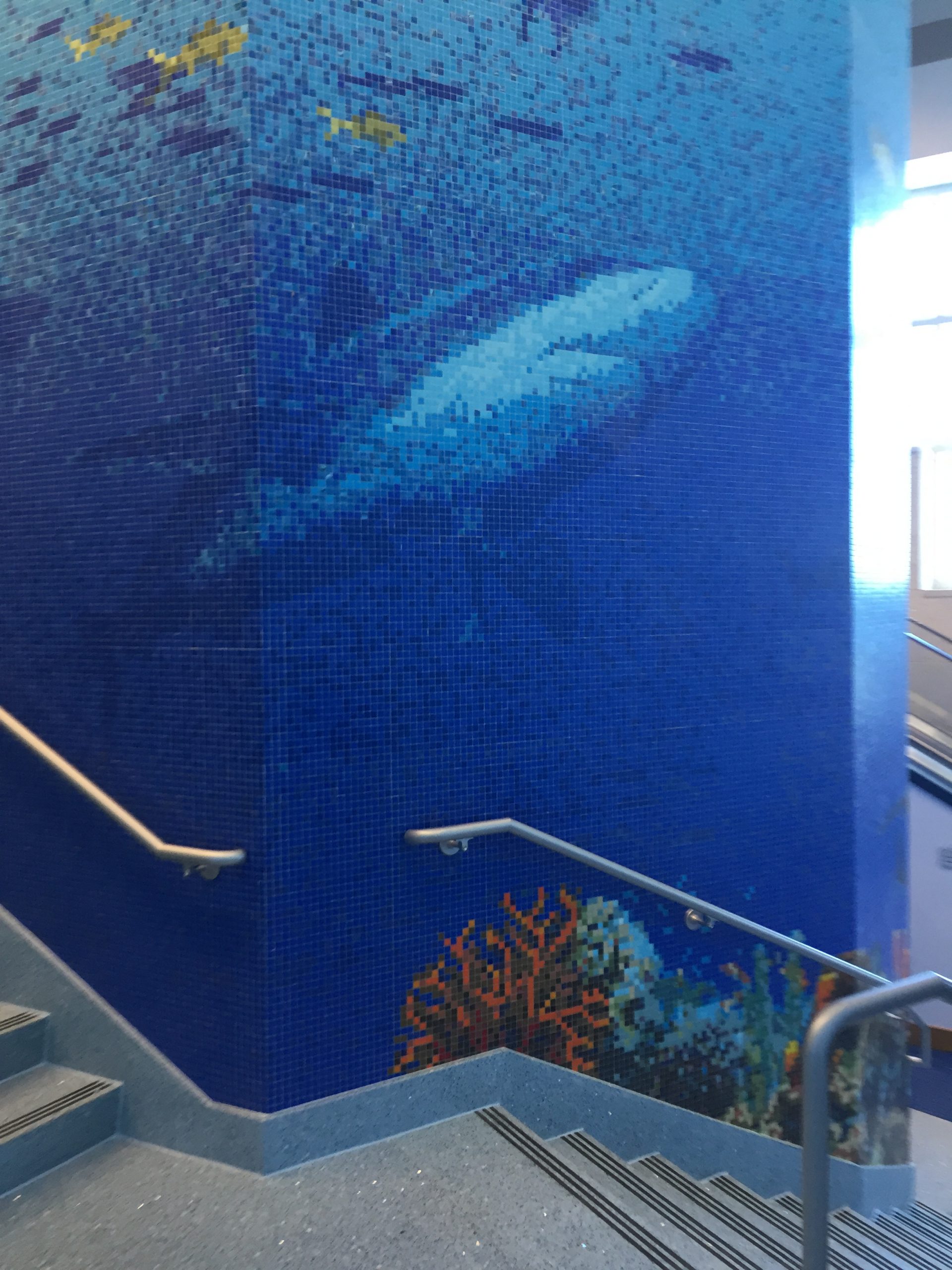 Texas State Aquarium “Caribbean Journey”