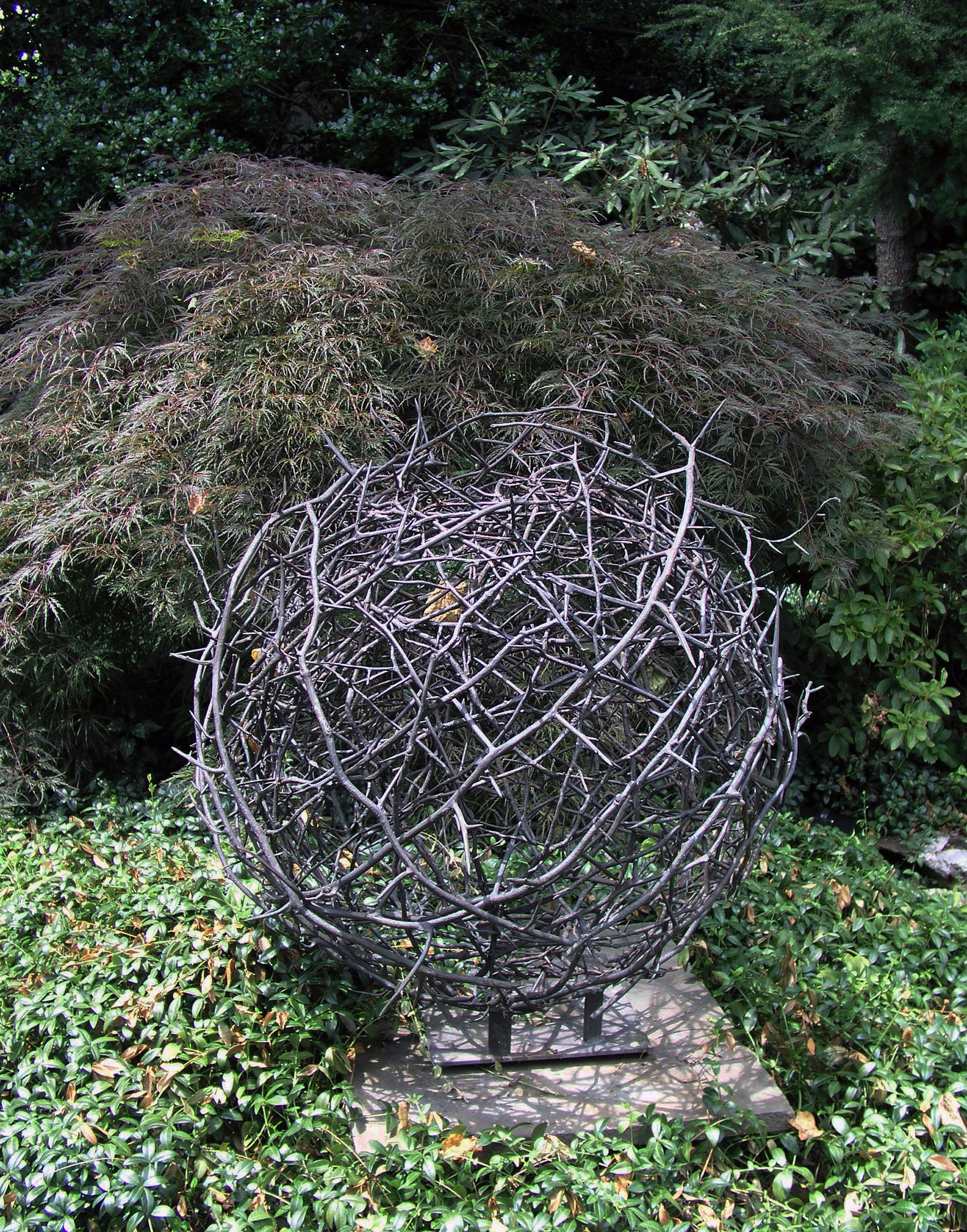 Ball of Thorns