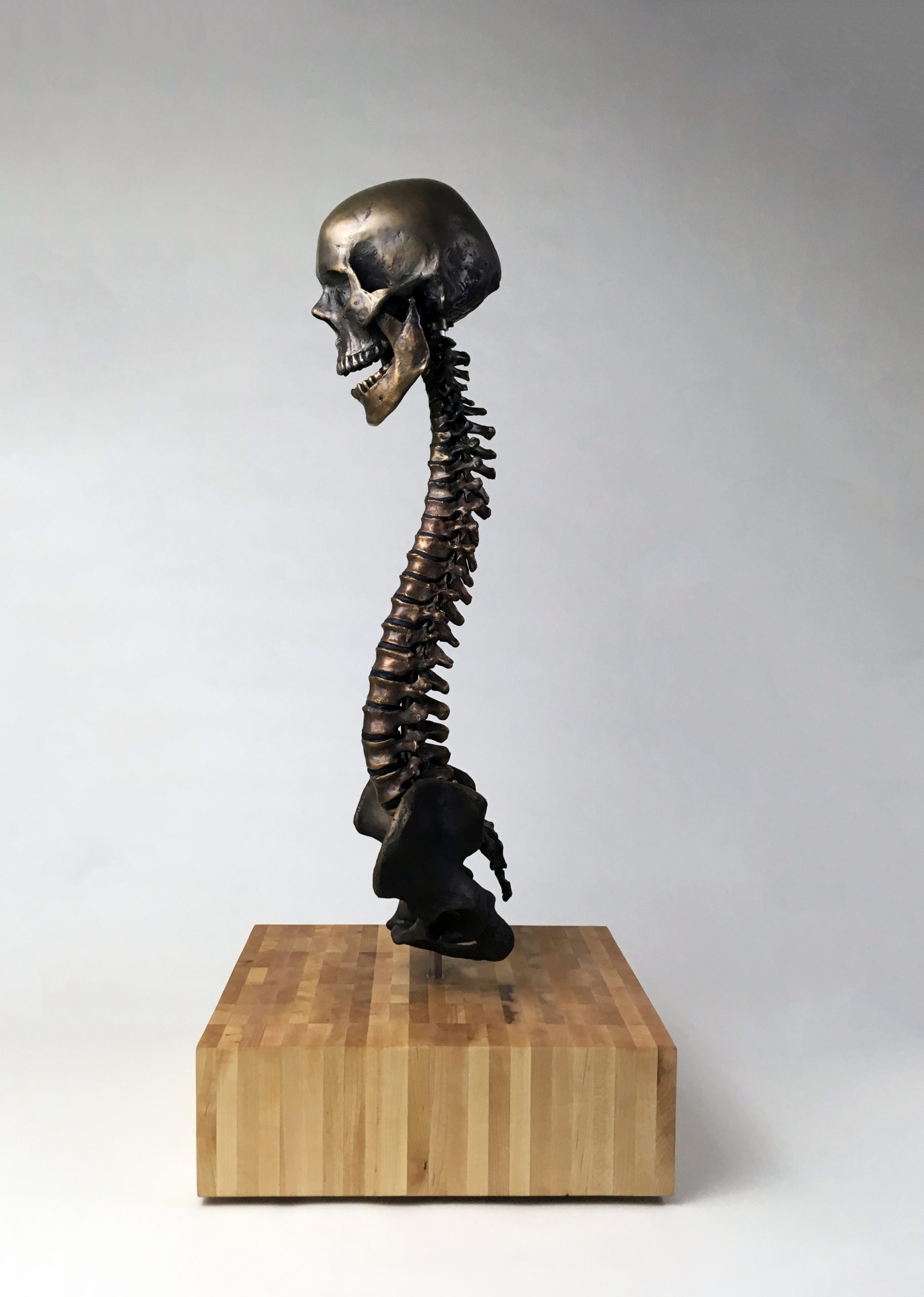 Bronze Spine