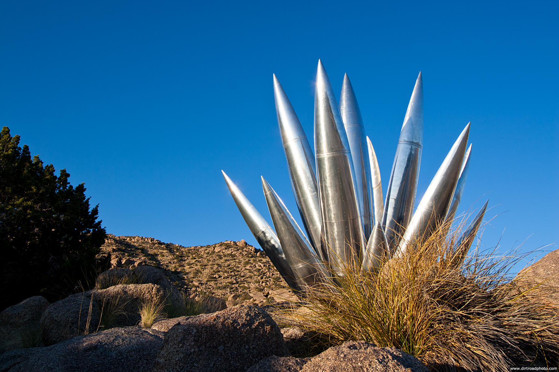 Aluminum Yucca