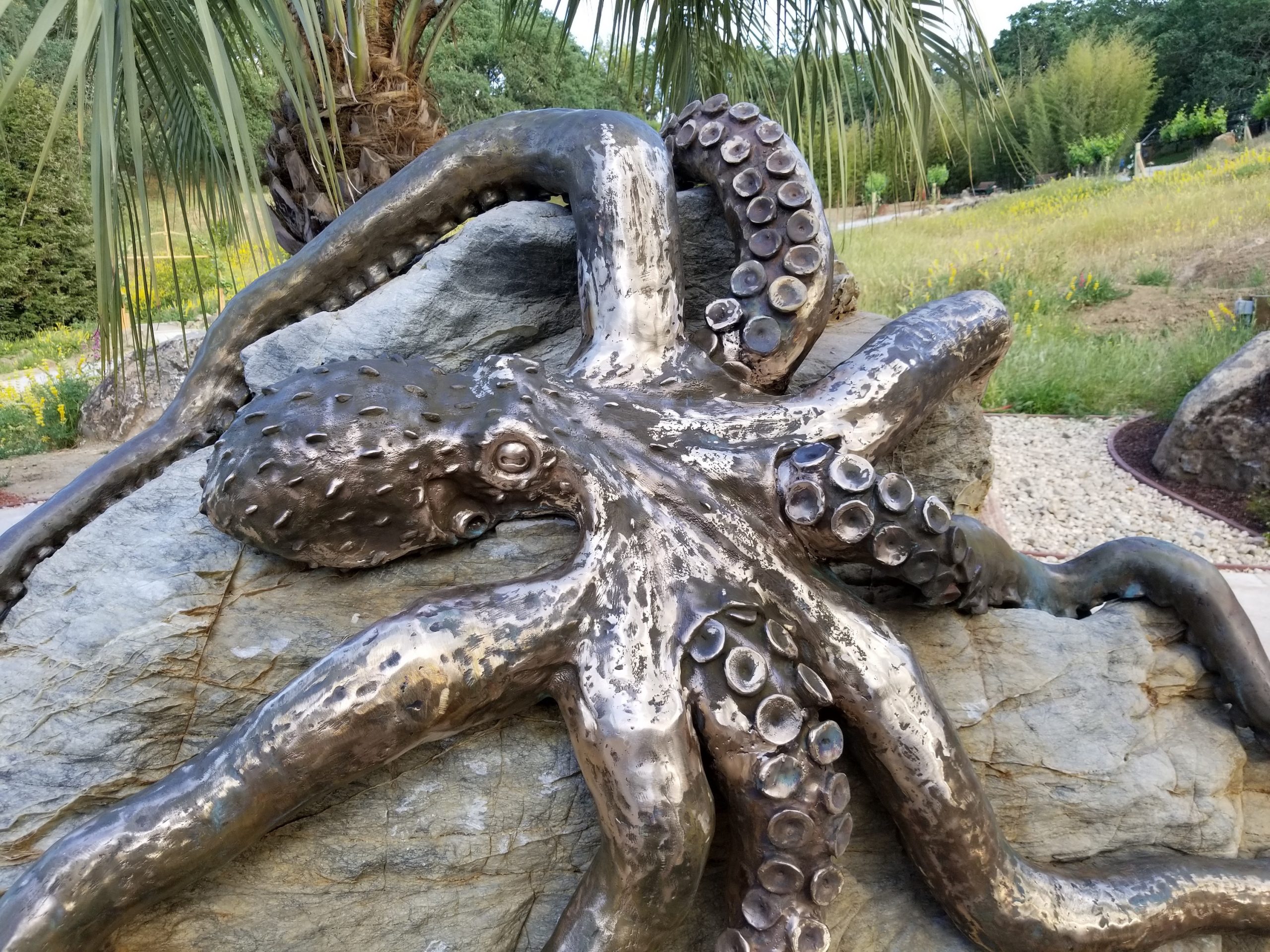 Bronze Octopus Water Feature