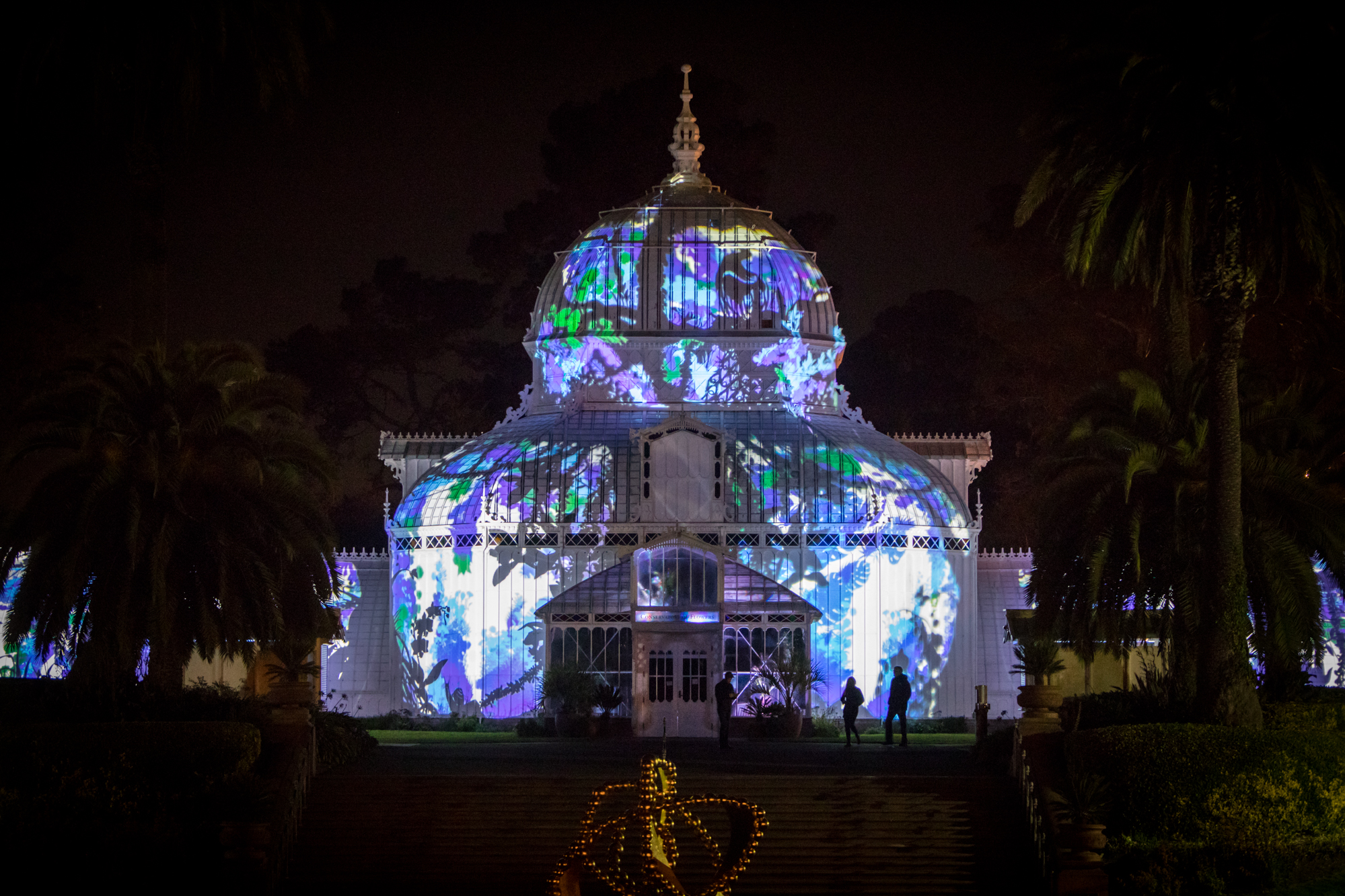 Photosynthesis at the Conservatory of Flowers