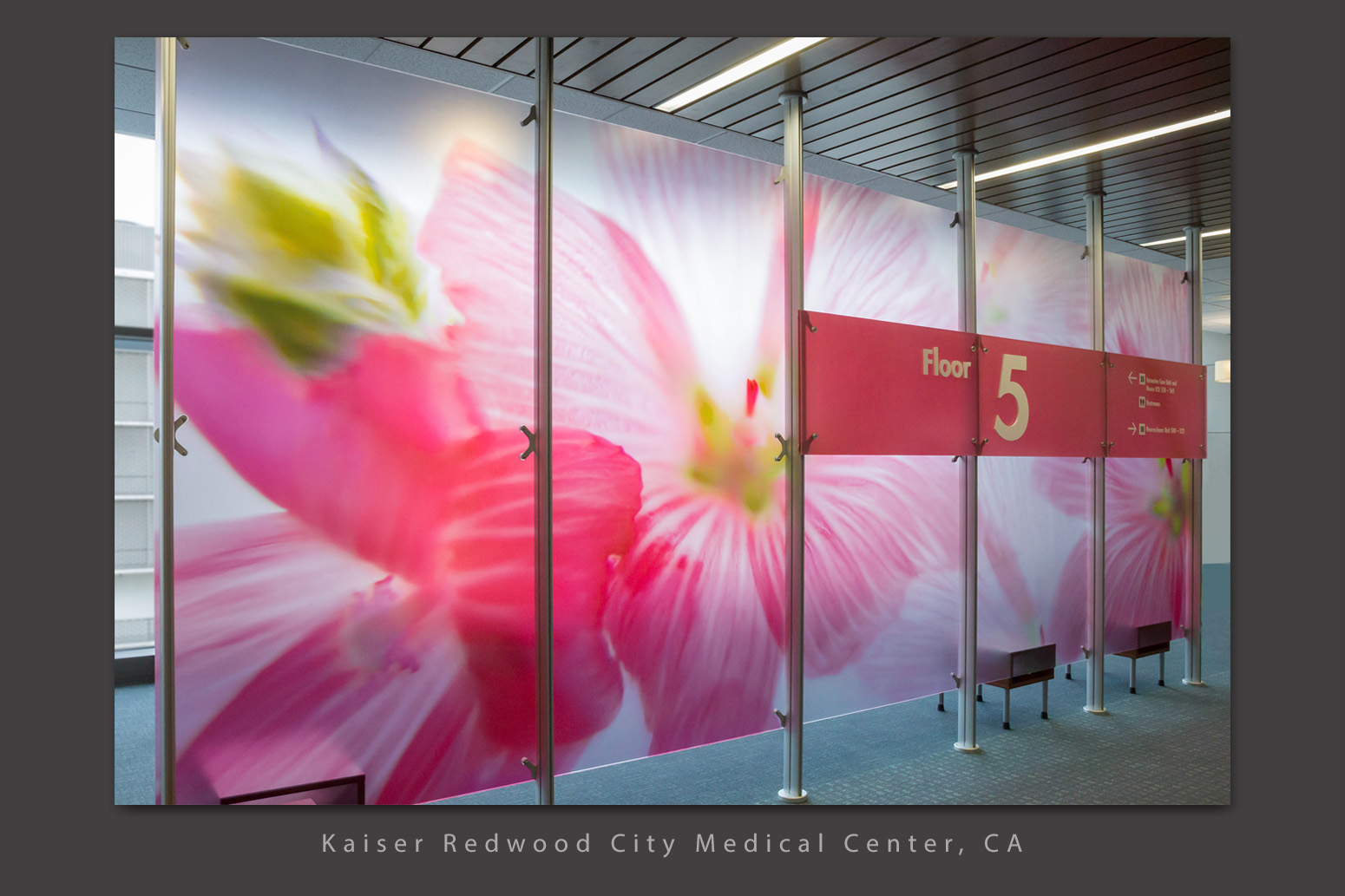 Kaiser Redwood City Medical Center: Phase 1 Lobby Dividers