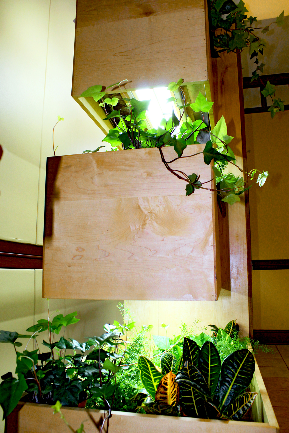 Fountain House Hydroponic LIving Wall