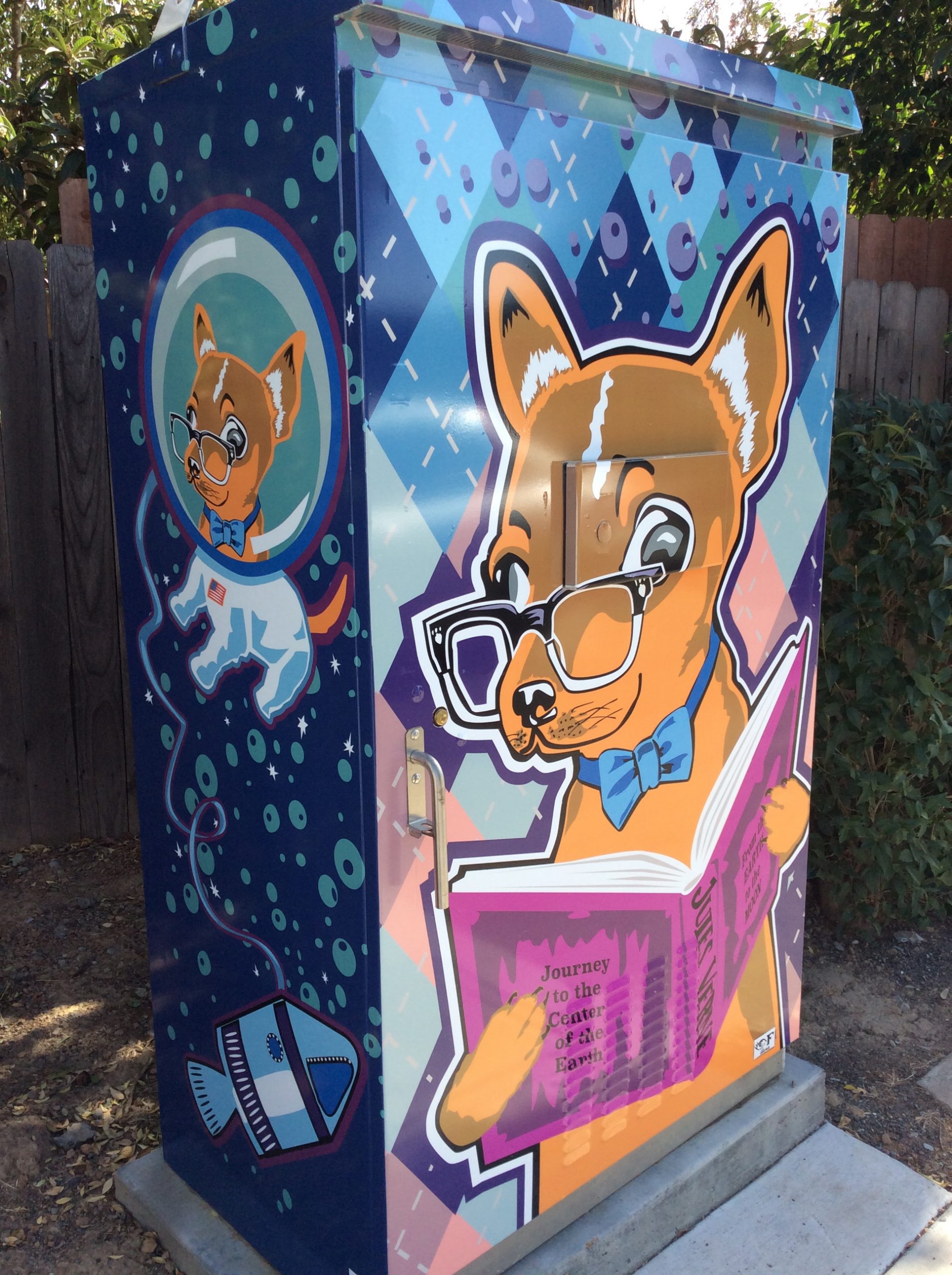 Sacramento Utility Boxes Art