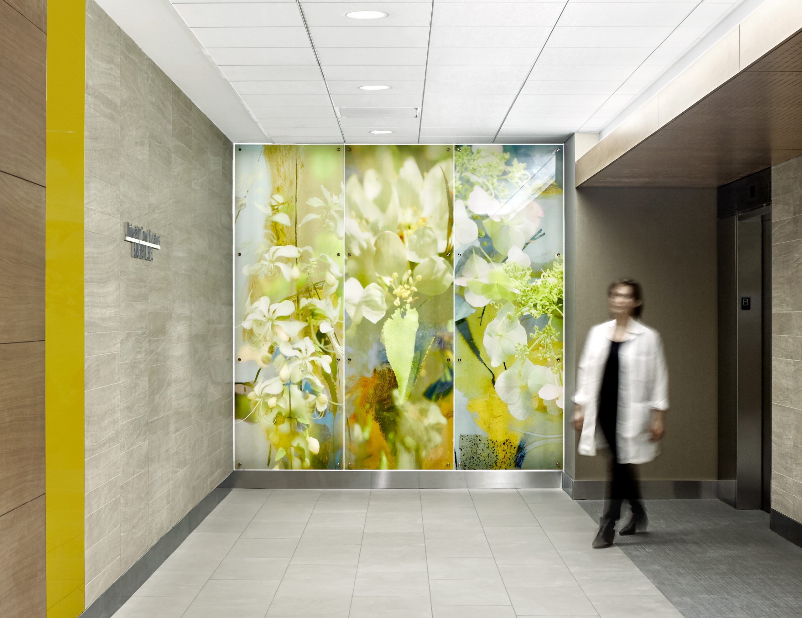 Backlit Art, Feature Walls & Privacy Solutions