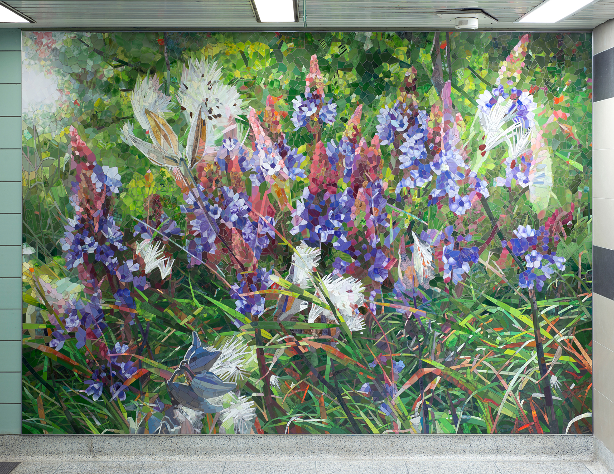 “Florae” mosaics and art glass at Chester subway station, Toronto, Canada