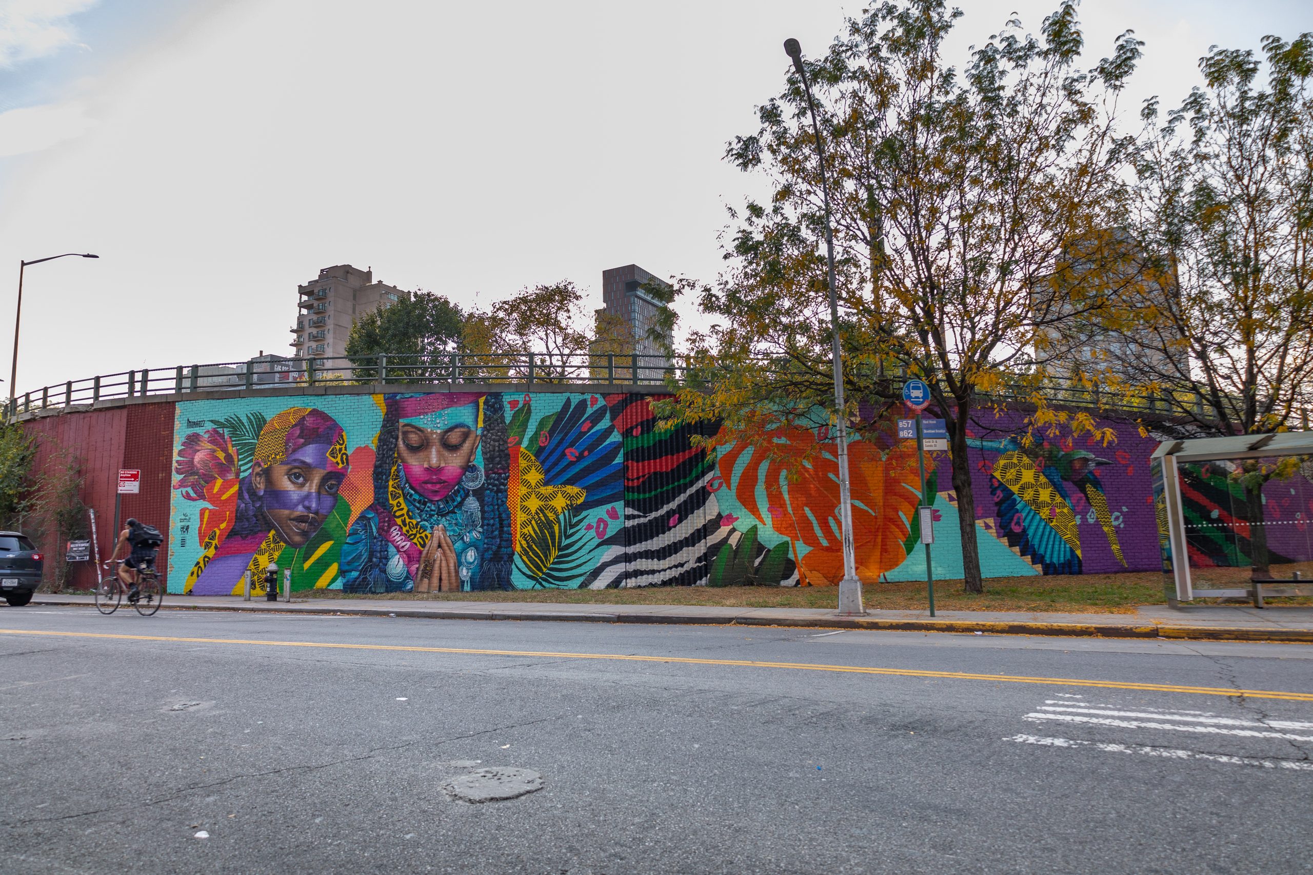 Murals for the Movement: DUMBO, Brooklyn