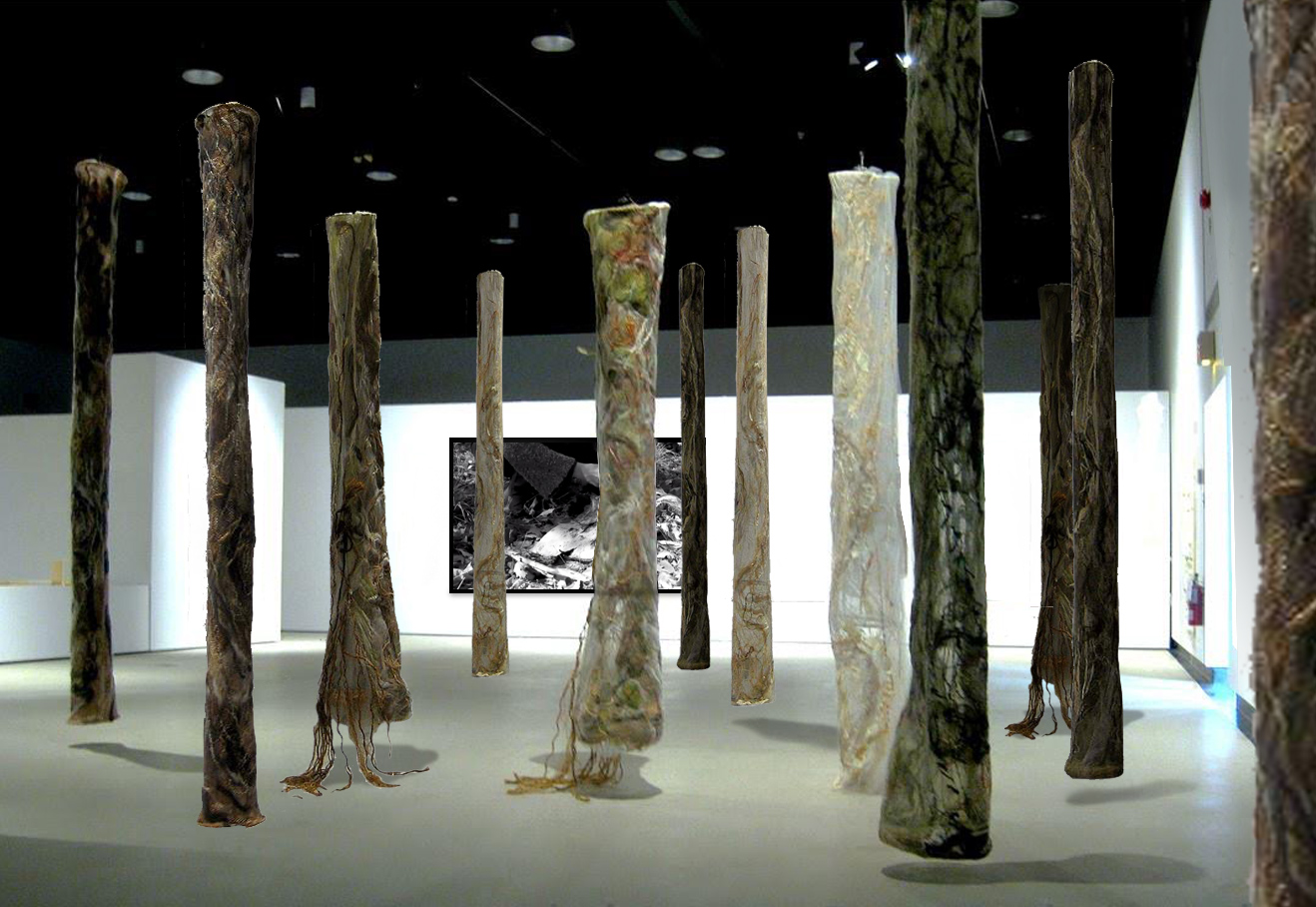 Ghost Forest and Passage exhibition to be presented at TheMuseum (Kitchener, Ontario) and Musee D’Art-Rouyn Noranda 2024 (Quebec)