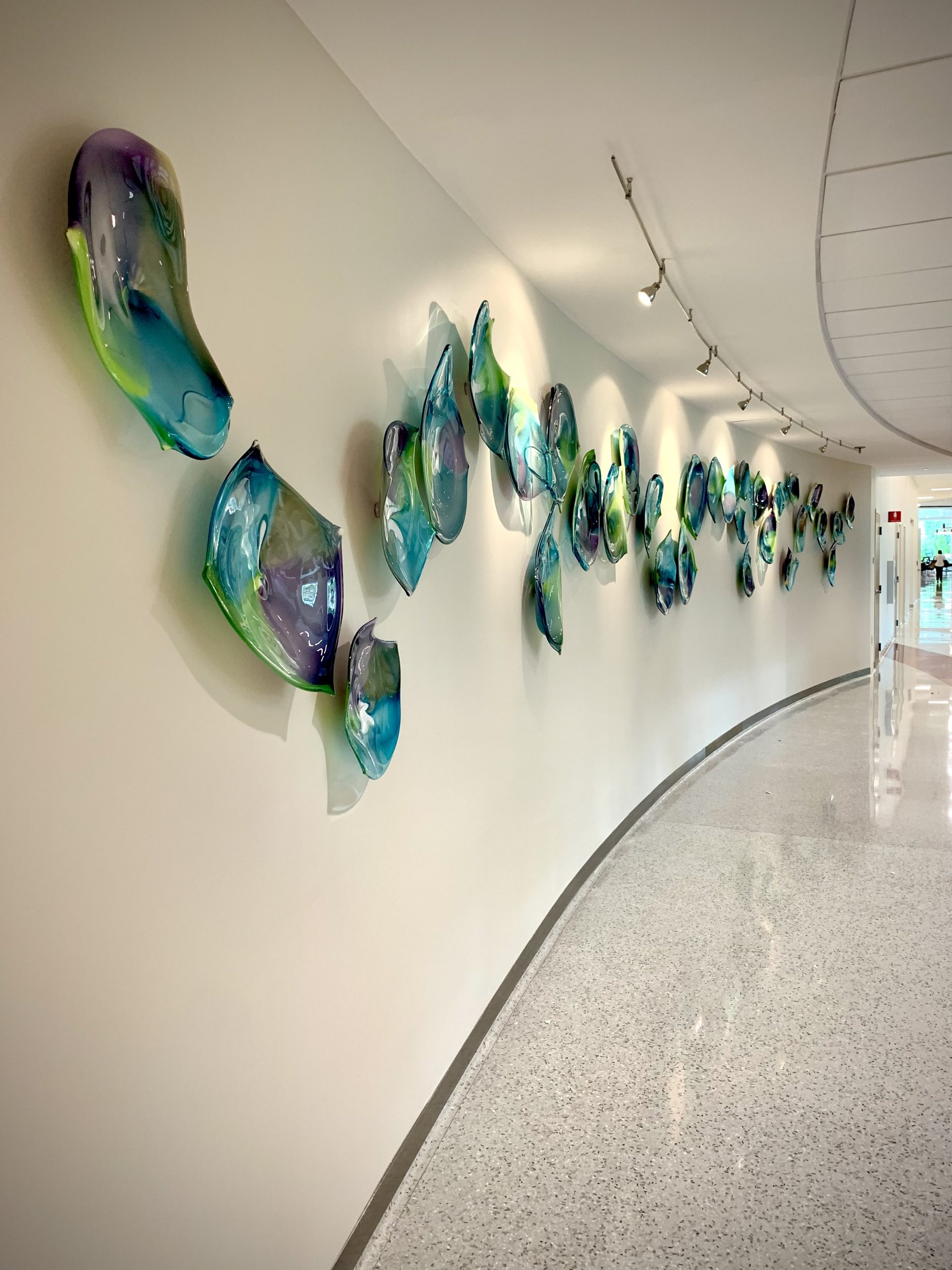 Blown glass group on 42′ hospital curved wall