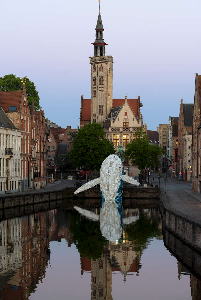 Skyscraper (The Bruges Whale)