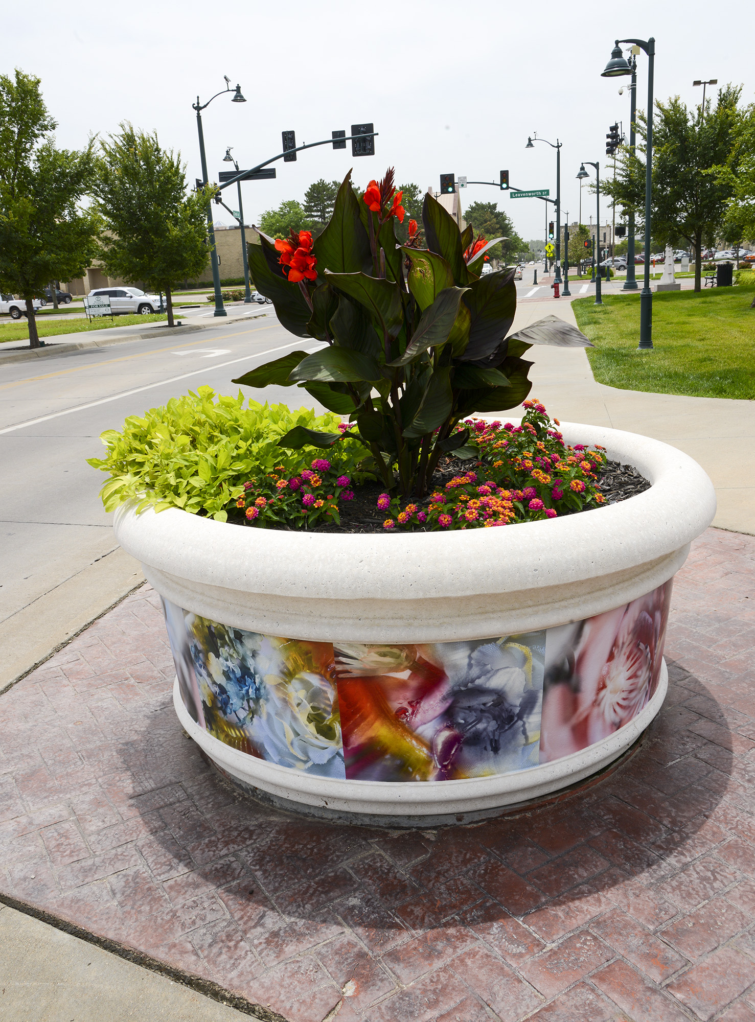Blooming Planters
