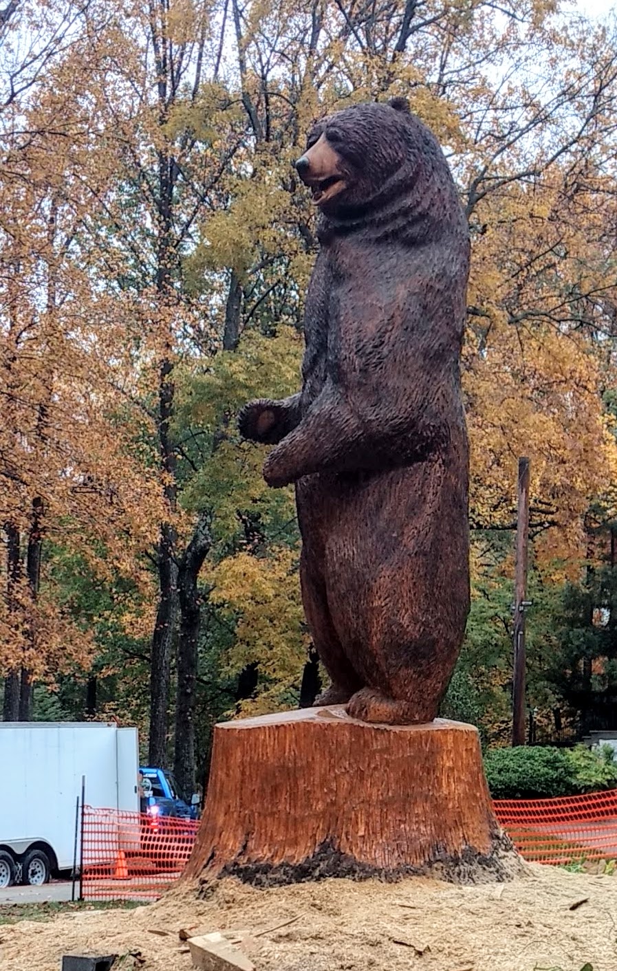 18 ft. Kodiak Bear