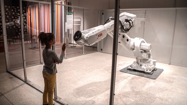Mimus: The Curious Industrial Robot