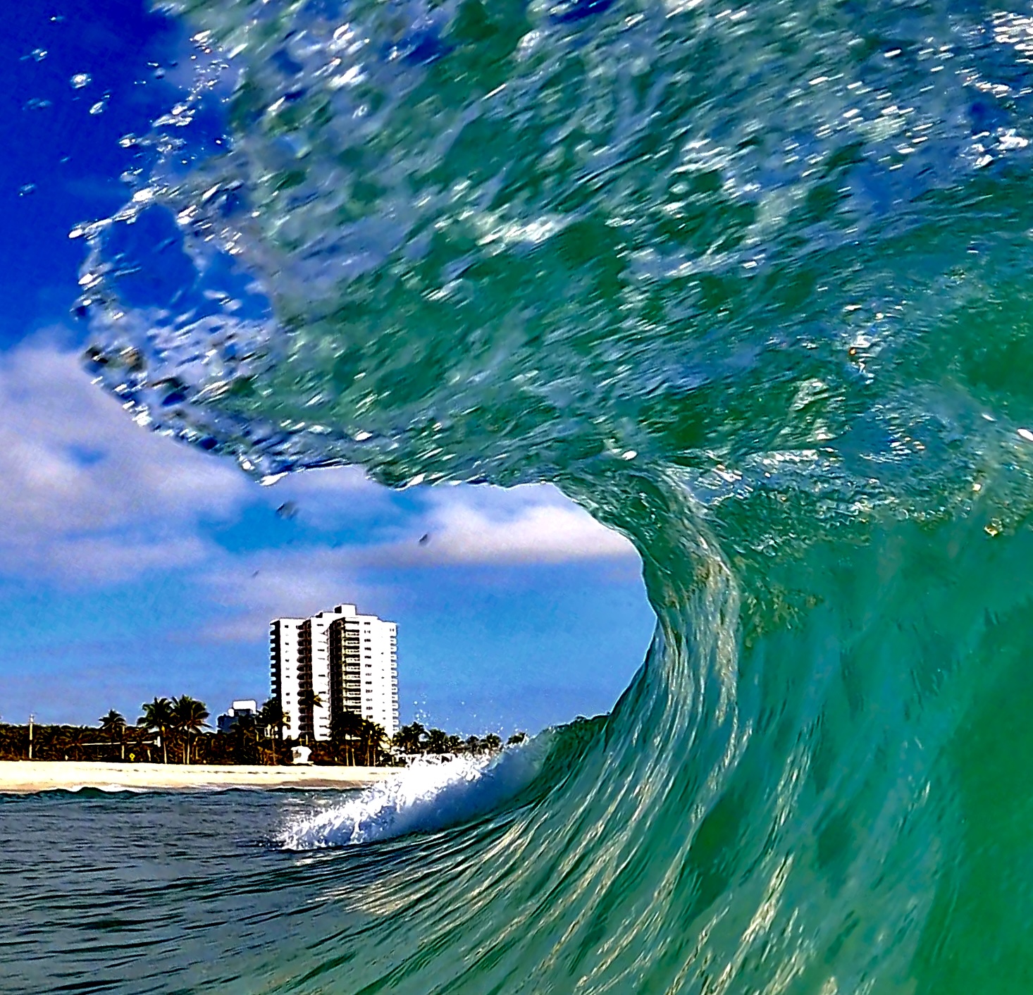 Dragon Curl, off the Fort Lauderdale Beach