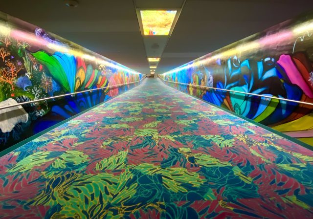 Aquarius Art Tunnel nov 2022